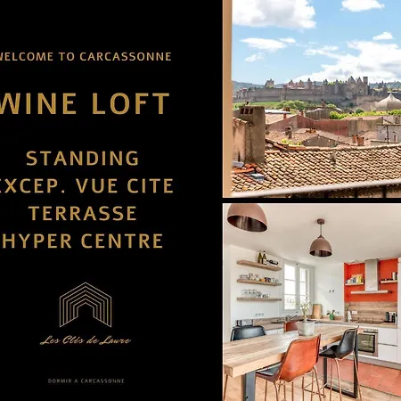 Wine Loft, Terrasse Et Vue Extraordinaire Sur La Cite Medievale Apartment